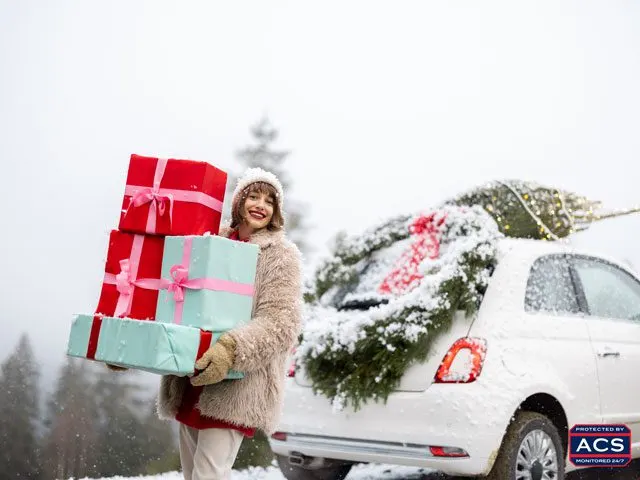 ACS-SmartHolidaysSafetyTips-Blog